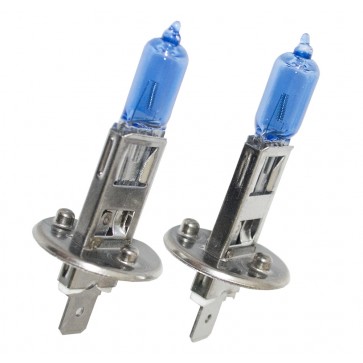 Ledson halogen 24V 70W xenonlook H1