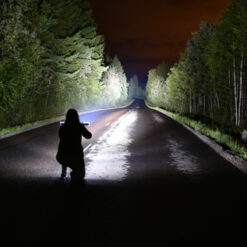 Jaga vildsvin med lampa