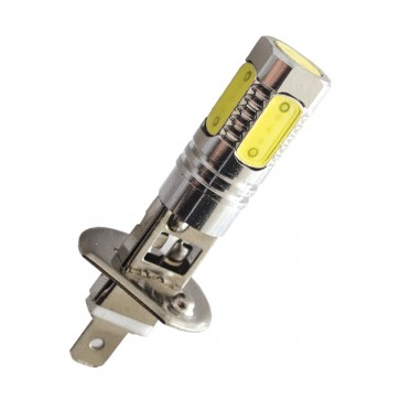 LEDSON LED-lampa xenonvit (Sockel H1, 7,5W)